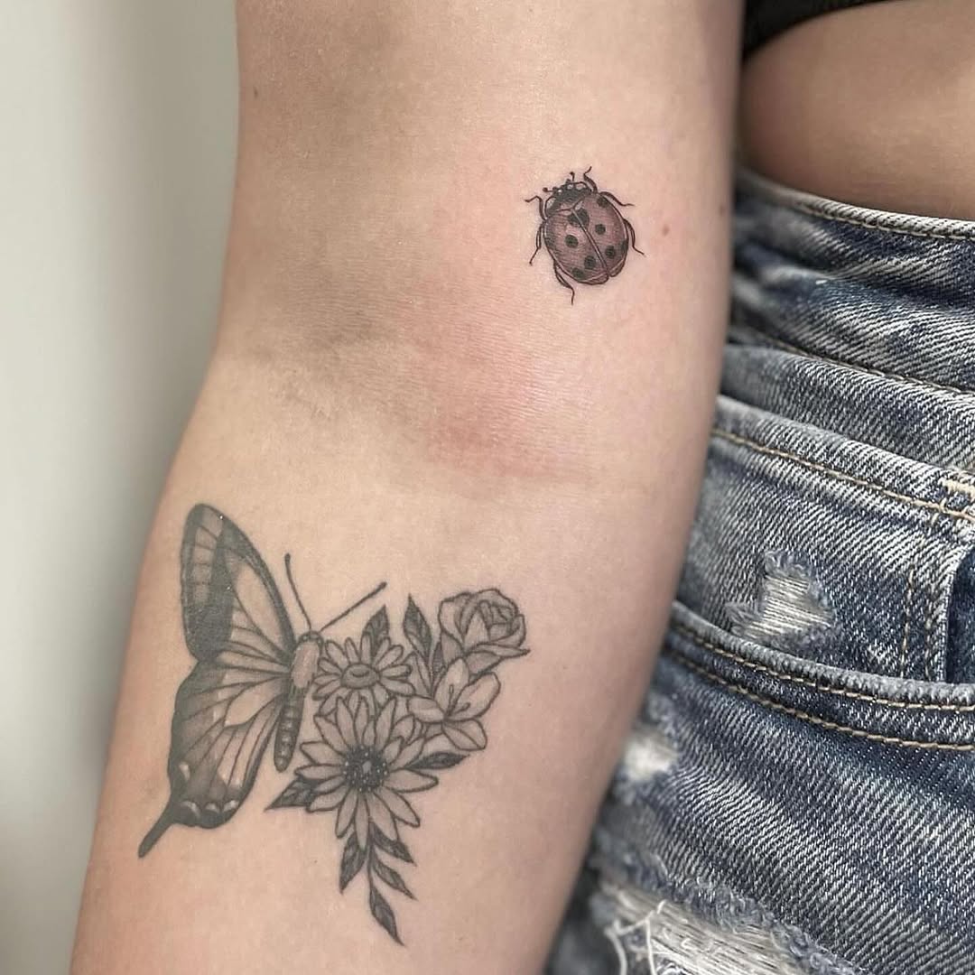 Flower, Animal, Nature, Rose