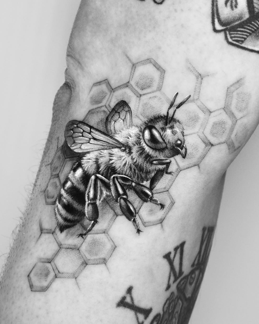 40.tatt