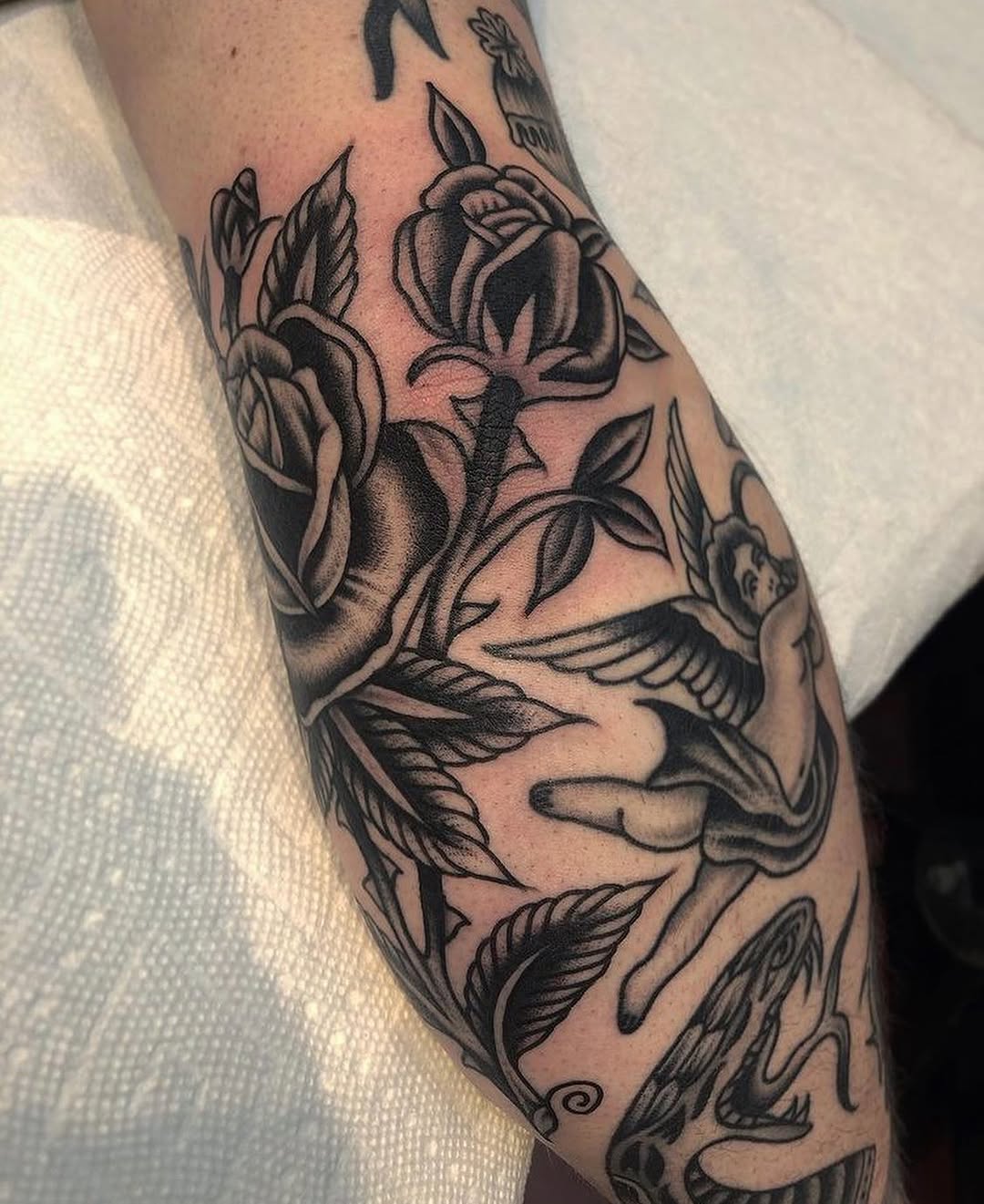 Rose, Flower