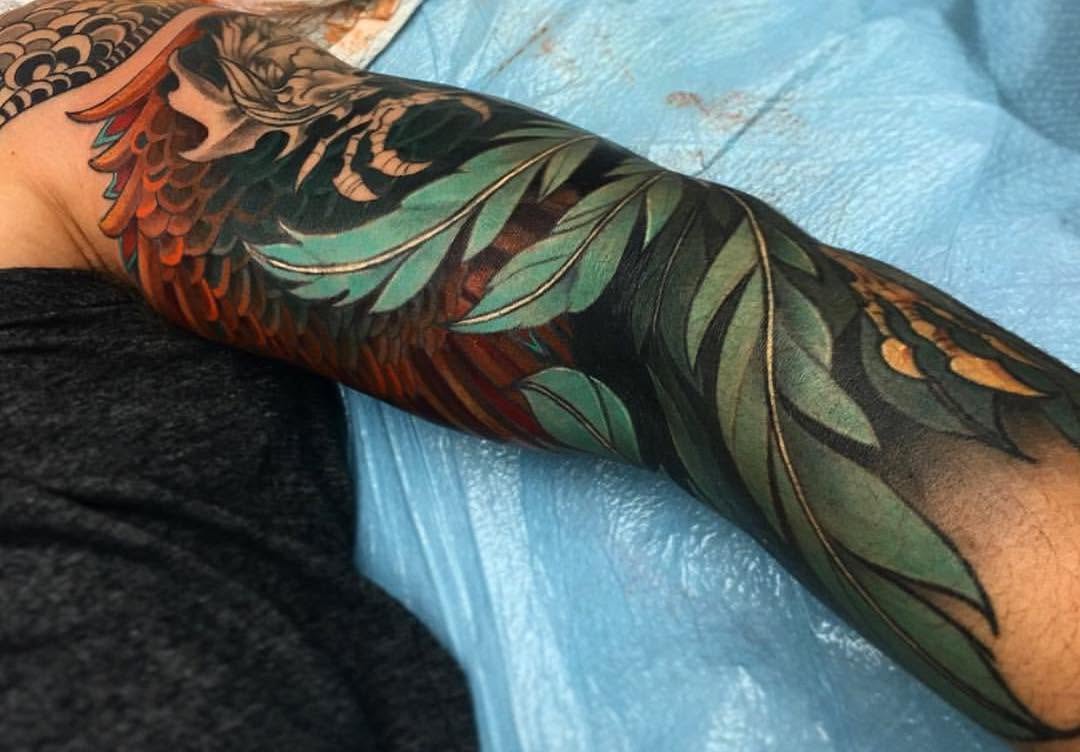 Dragon, Animal
