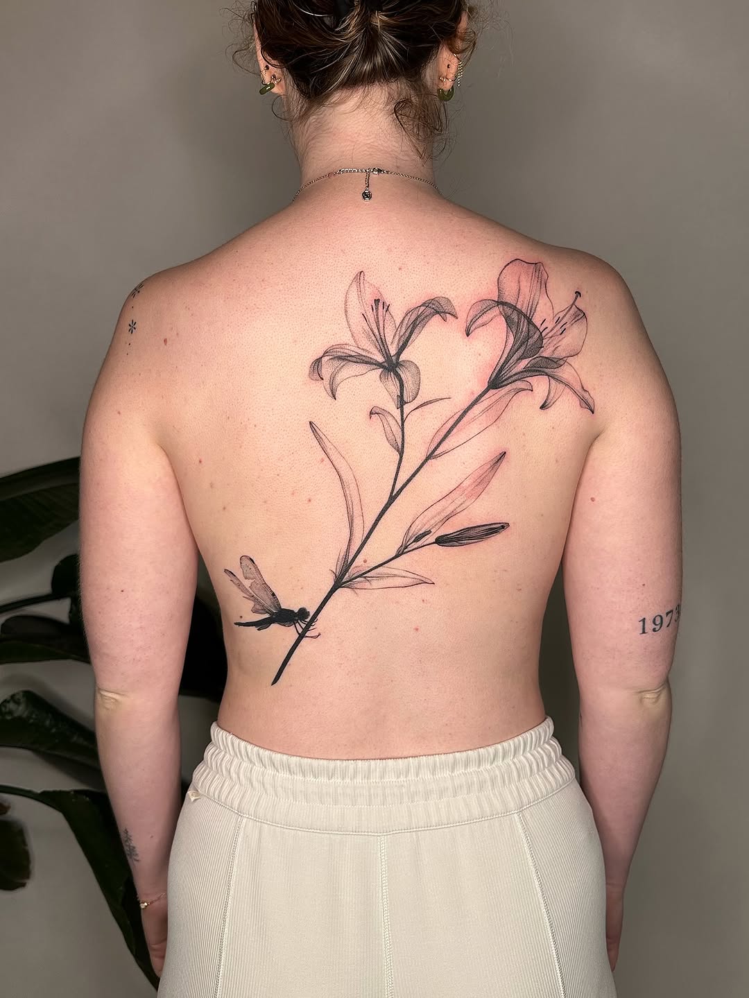 plantsnpokes
