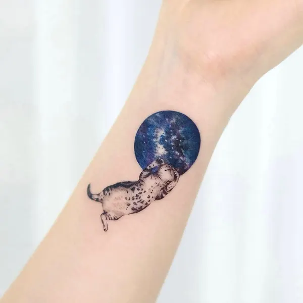 달, Animal, 혜성, 양자리, 염소자리, 유니콘