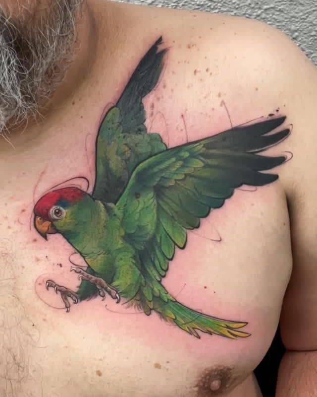 Animal
