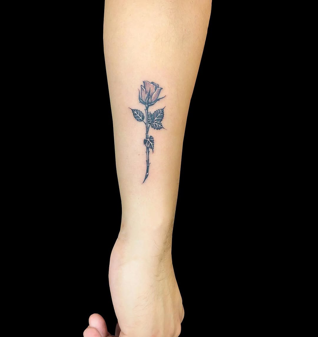 Flower, Rose