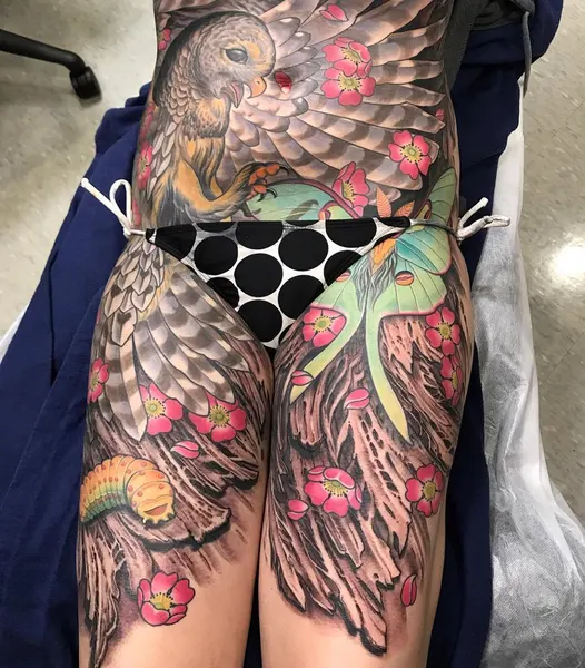 Dragon, Animal