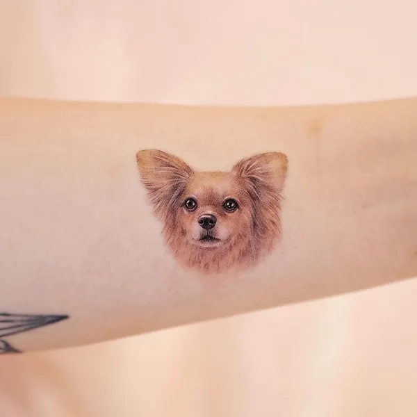 paw.tattoo