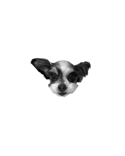dorok.tattoo