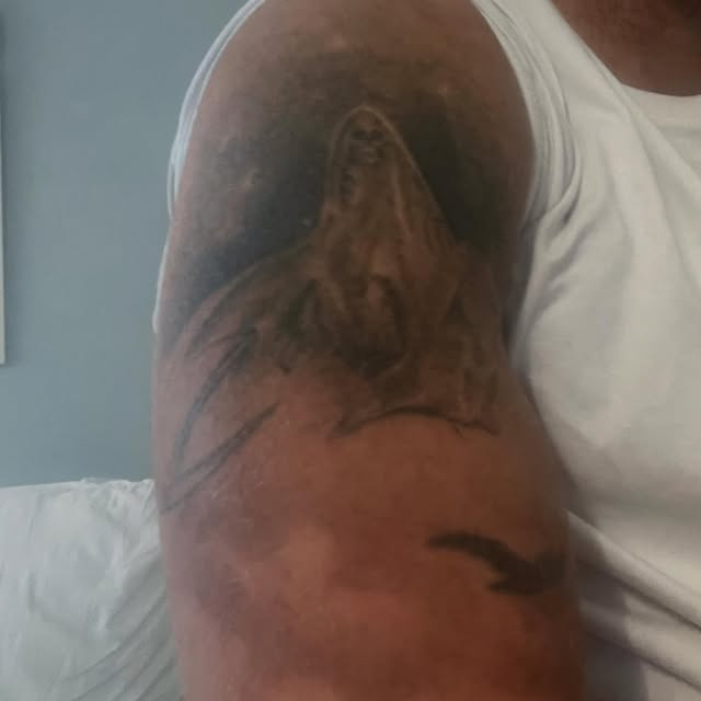 thewolfrosario