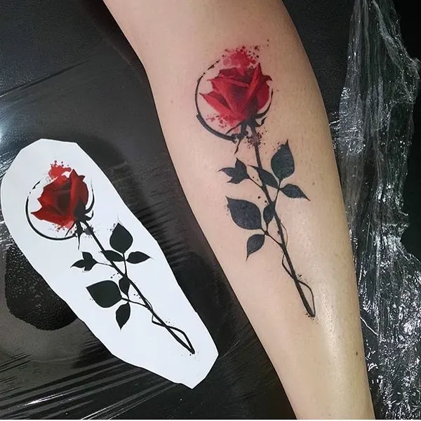 Flower, Rose