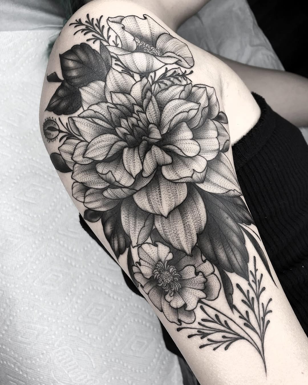 Flower, Rose, Nature