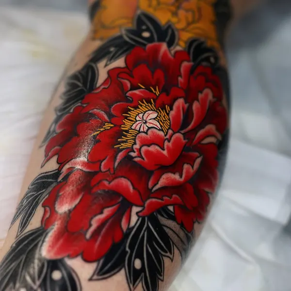 Flower, Rose