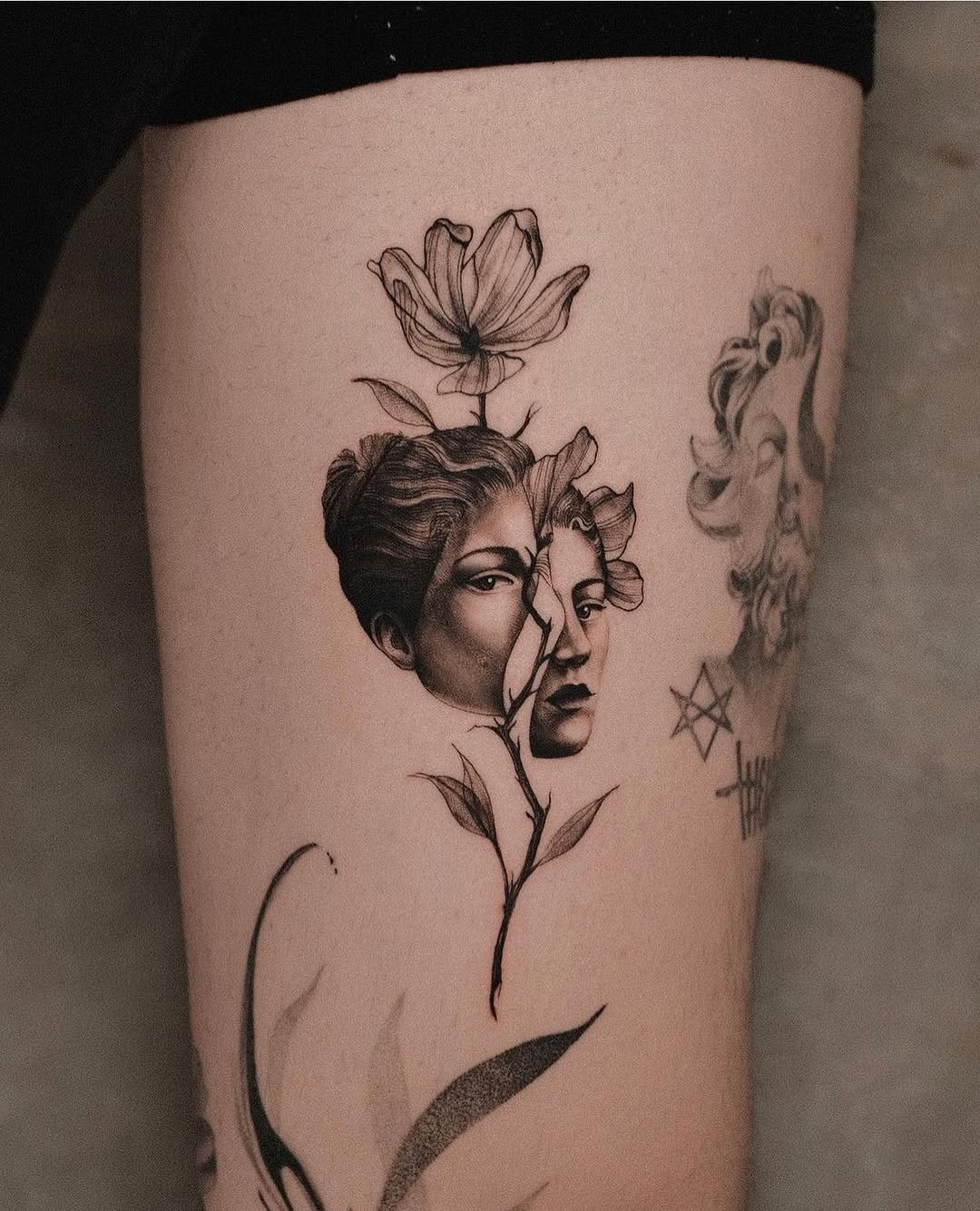 Flower, Rose