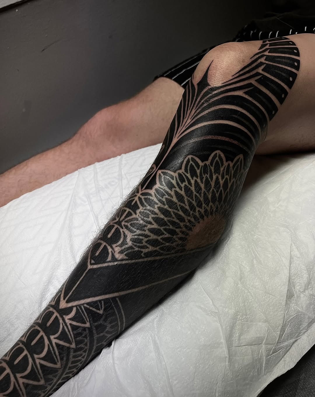 Dragon, Animal