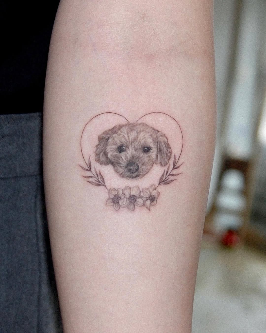 Animal