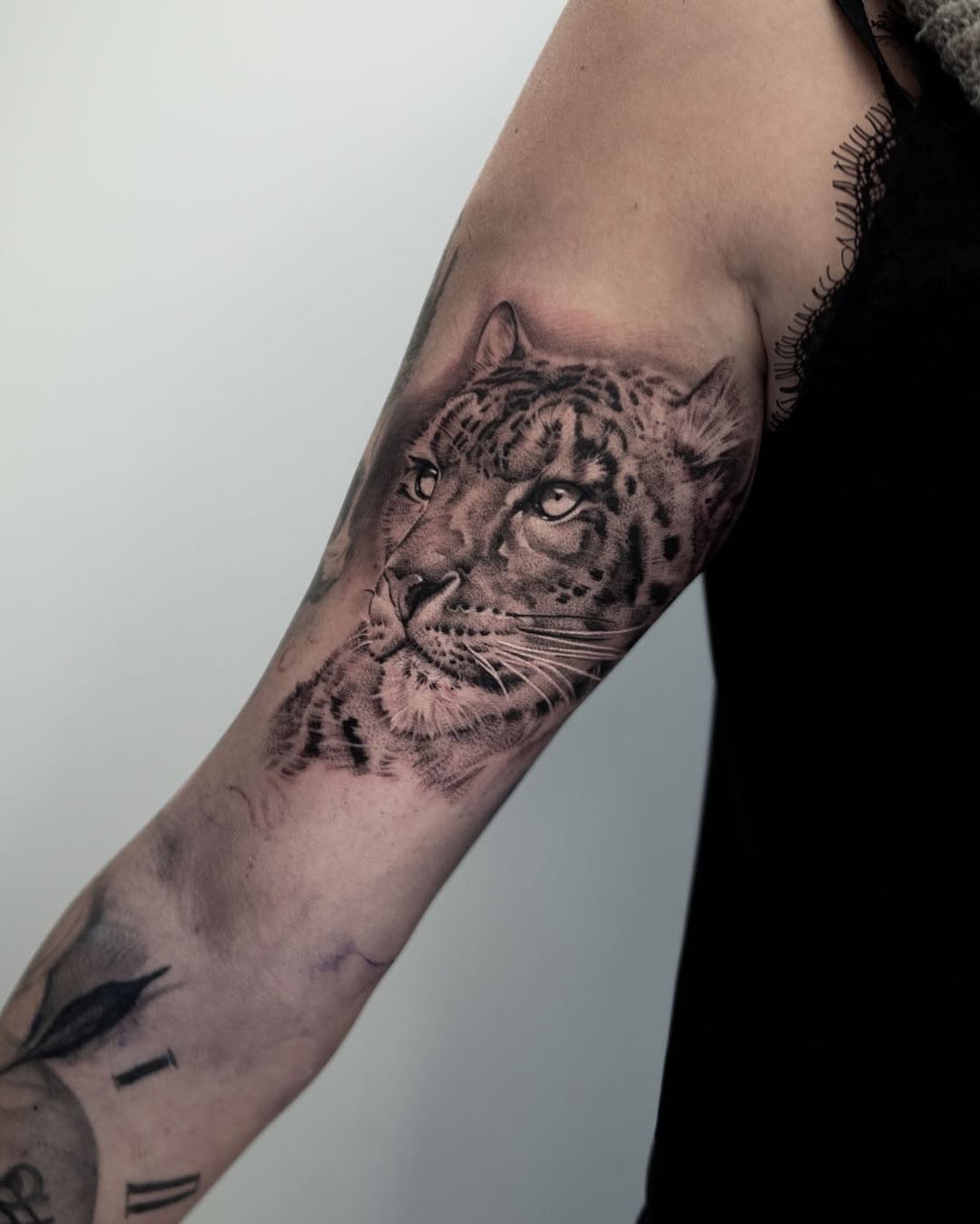 Animal, 표범, 재규어, 치타