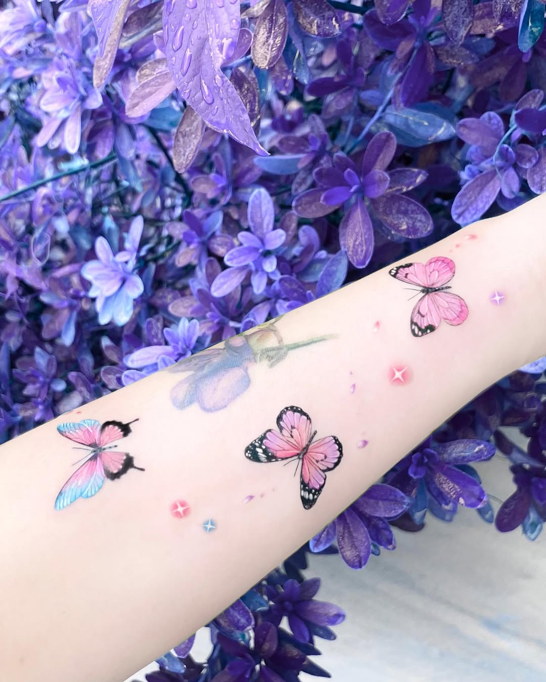Nature, Flower, Animal