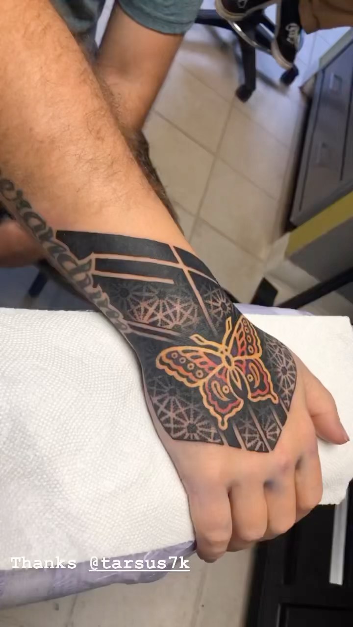 Nature, Animal