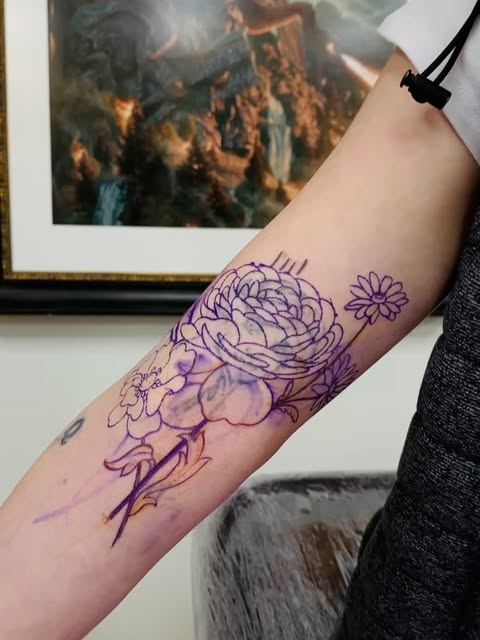 Flower, Rose, Nature