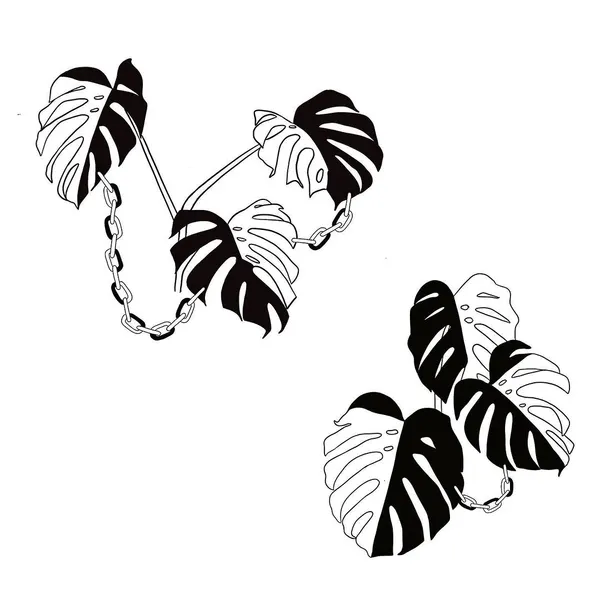 plantsnpokes