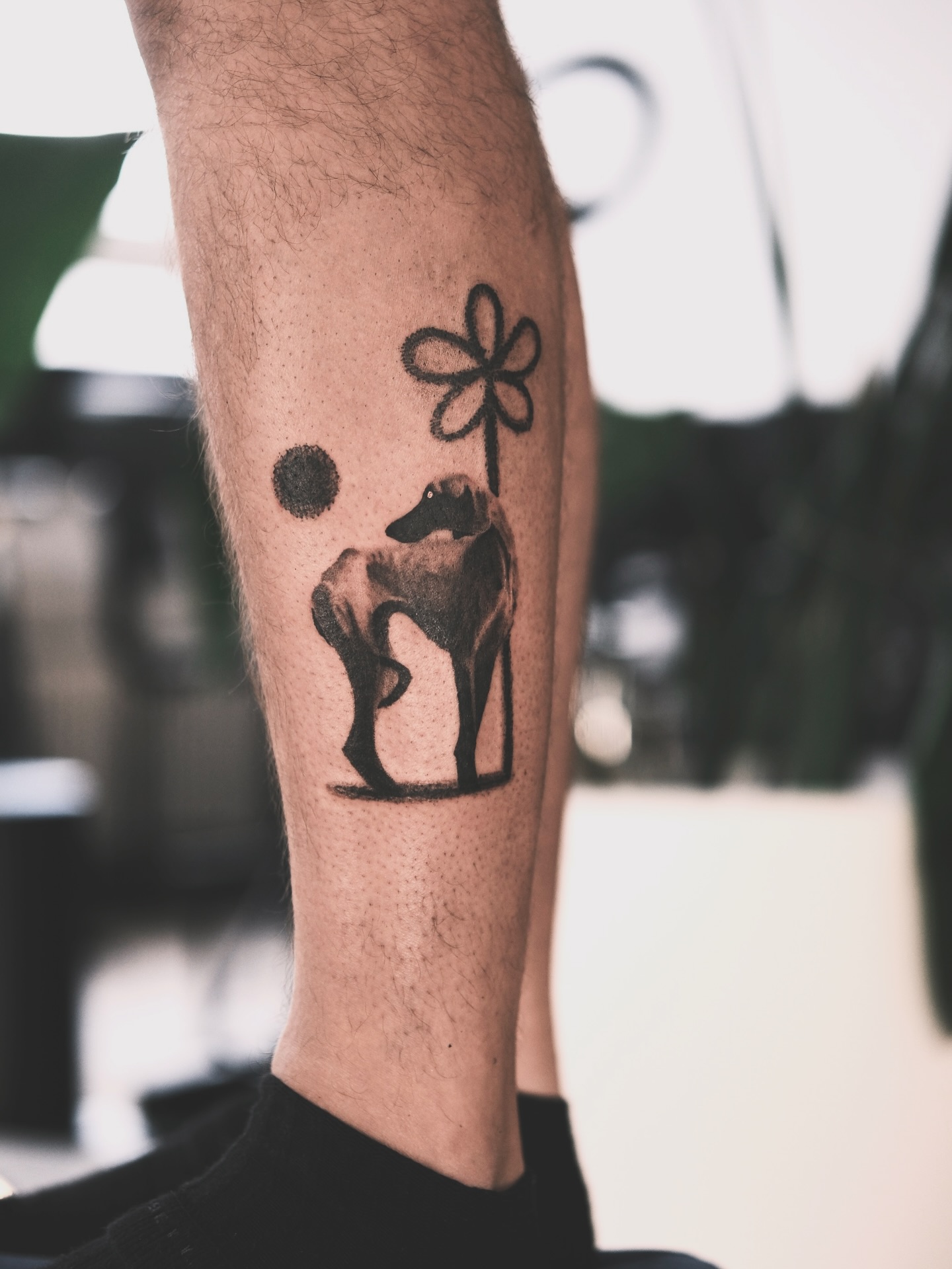 Flower, 코끼리