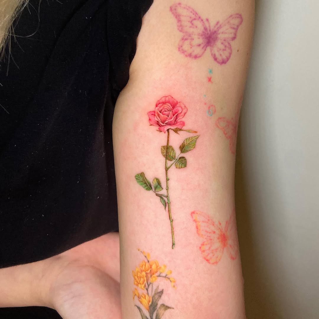 Flower, Rose