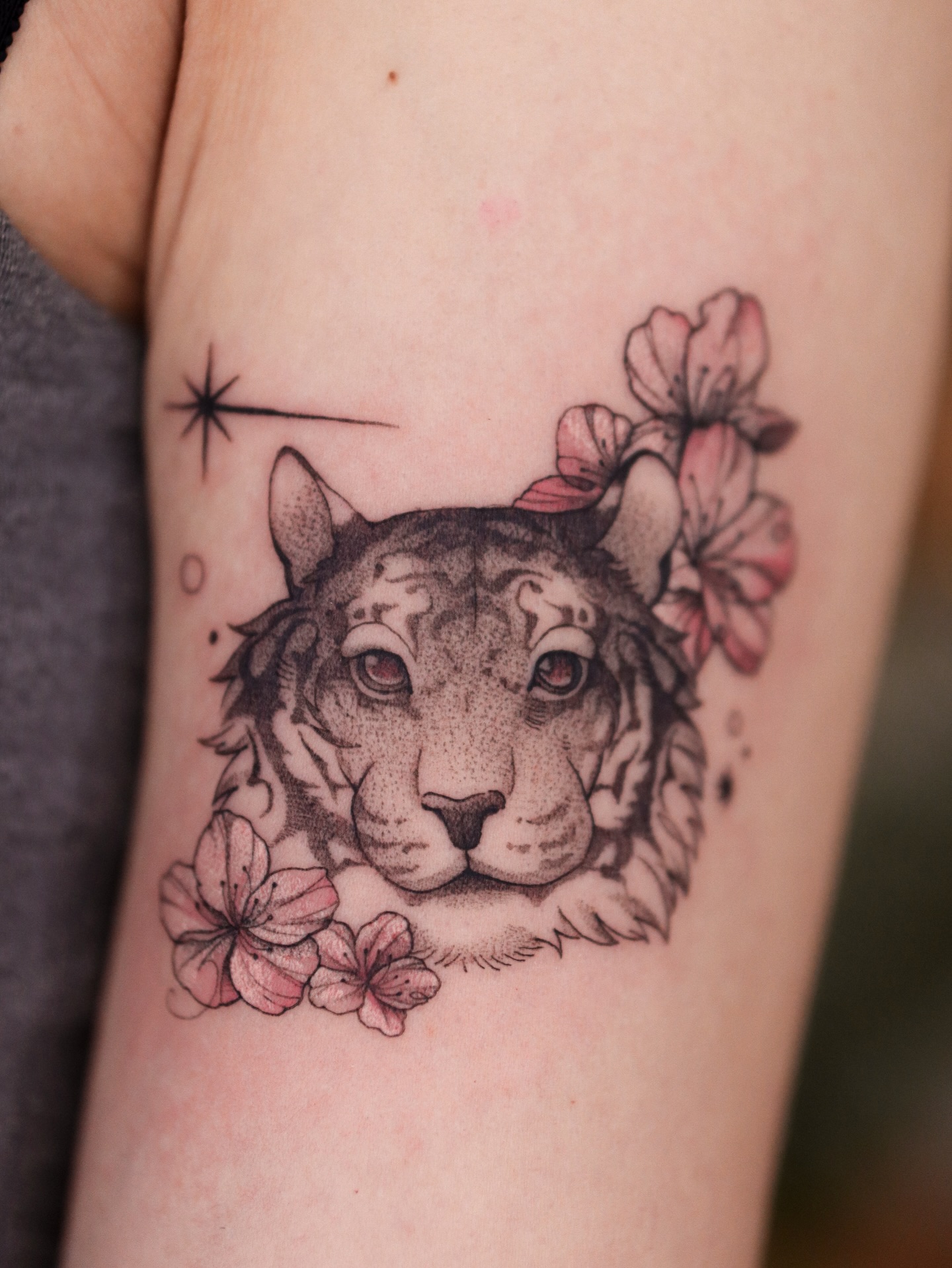 Tiger