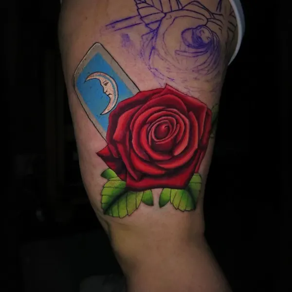 Flower, Rose