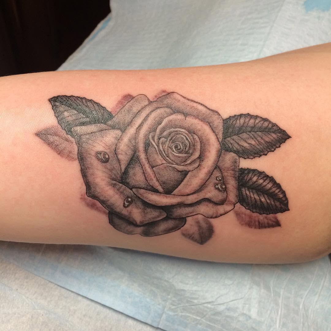 Flower, Rose