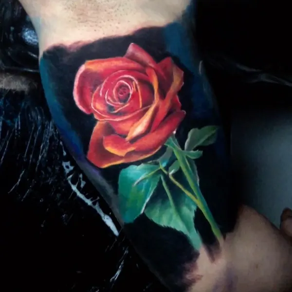 Flower, Rose