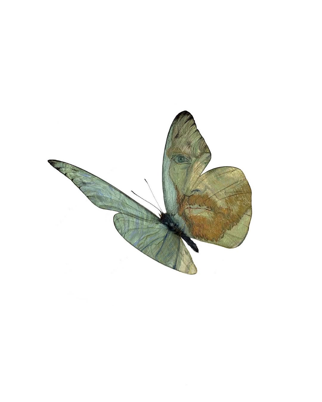caotida
