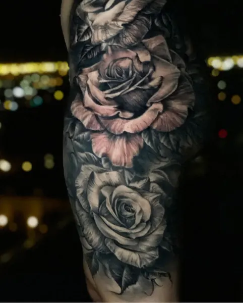 Flower, Rose