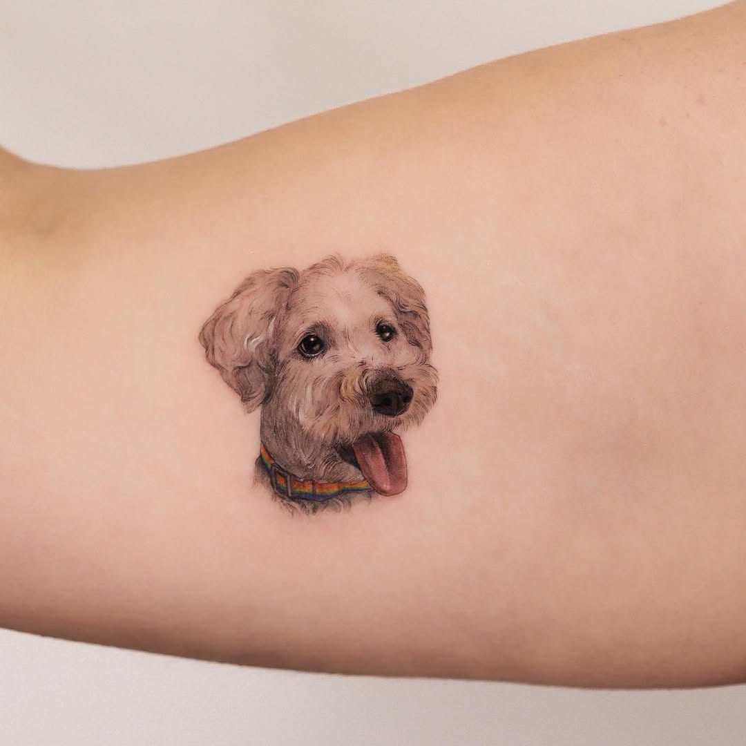 Animal, Mini