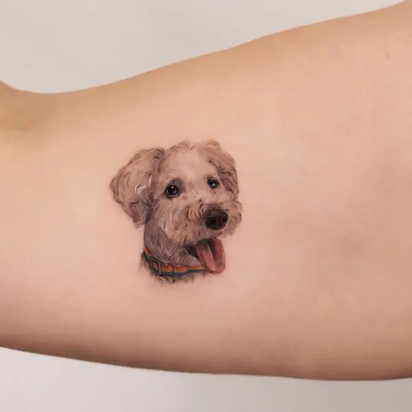 Animal, Mini