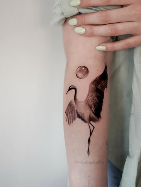 felipeabelart