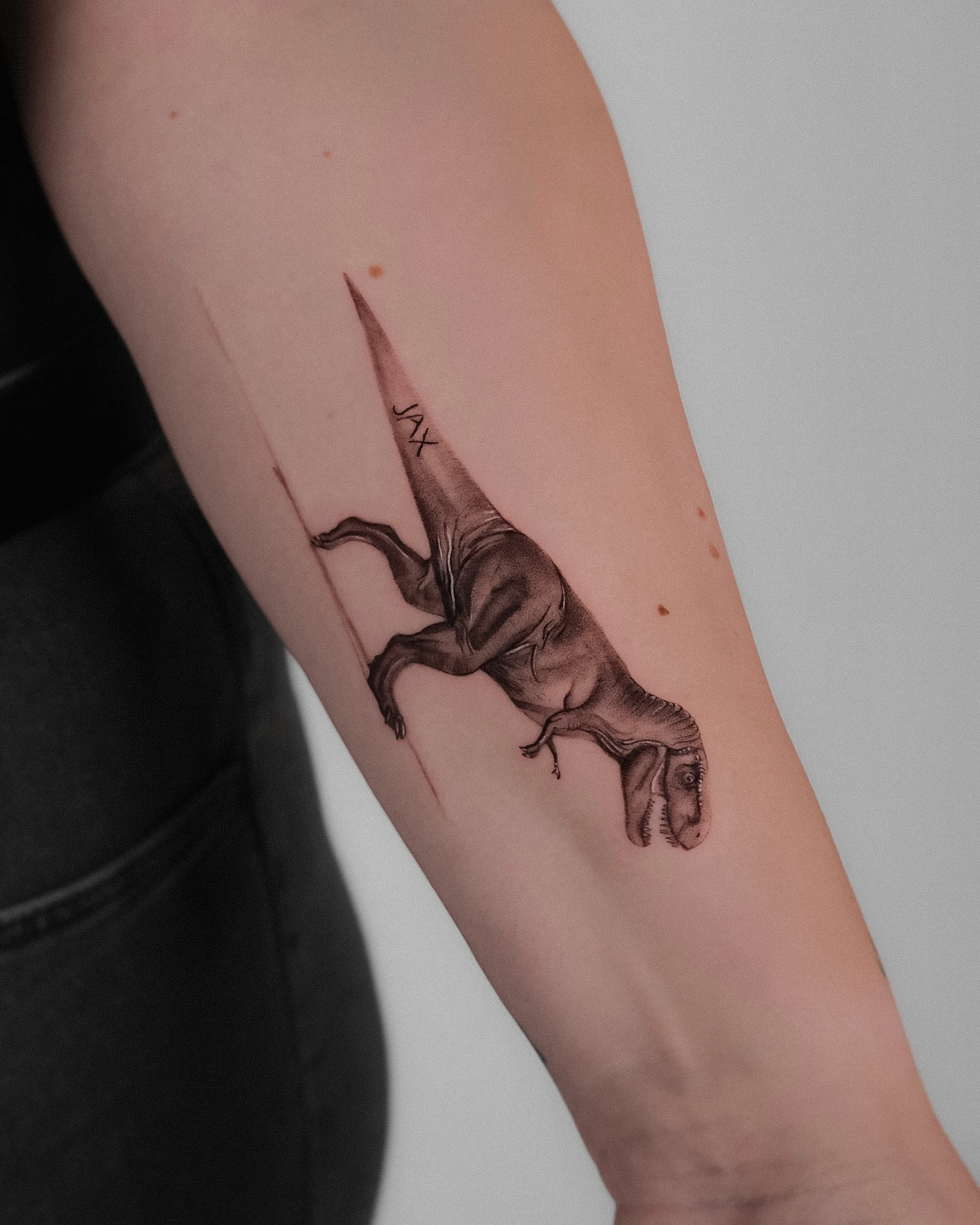 Dragon, 악어, 도마뱀