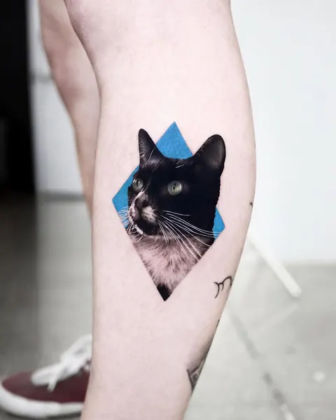고양이
