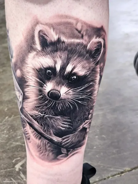 Animal