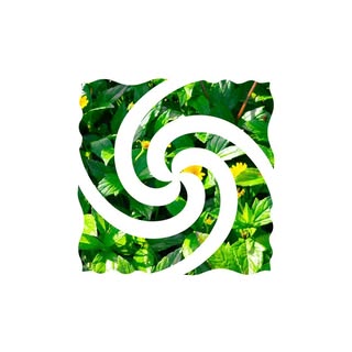 macrostraight