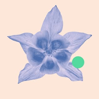 carcarecenter_ccc