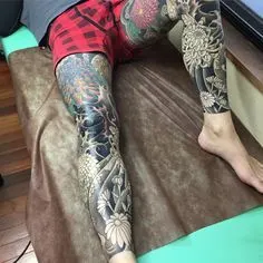 Animal, Dragon