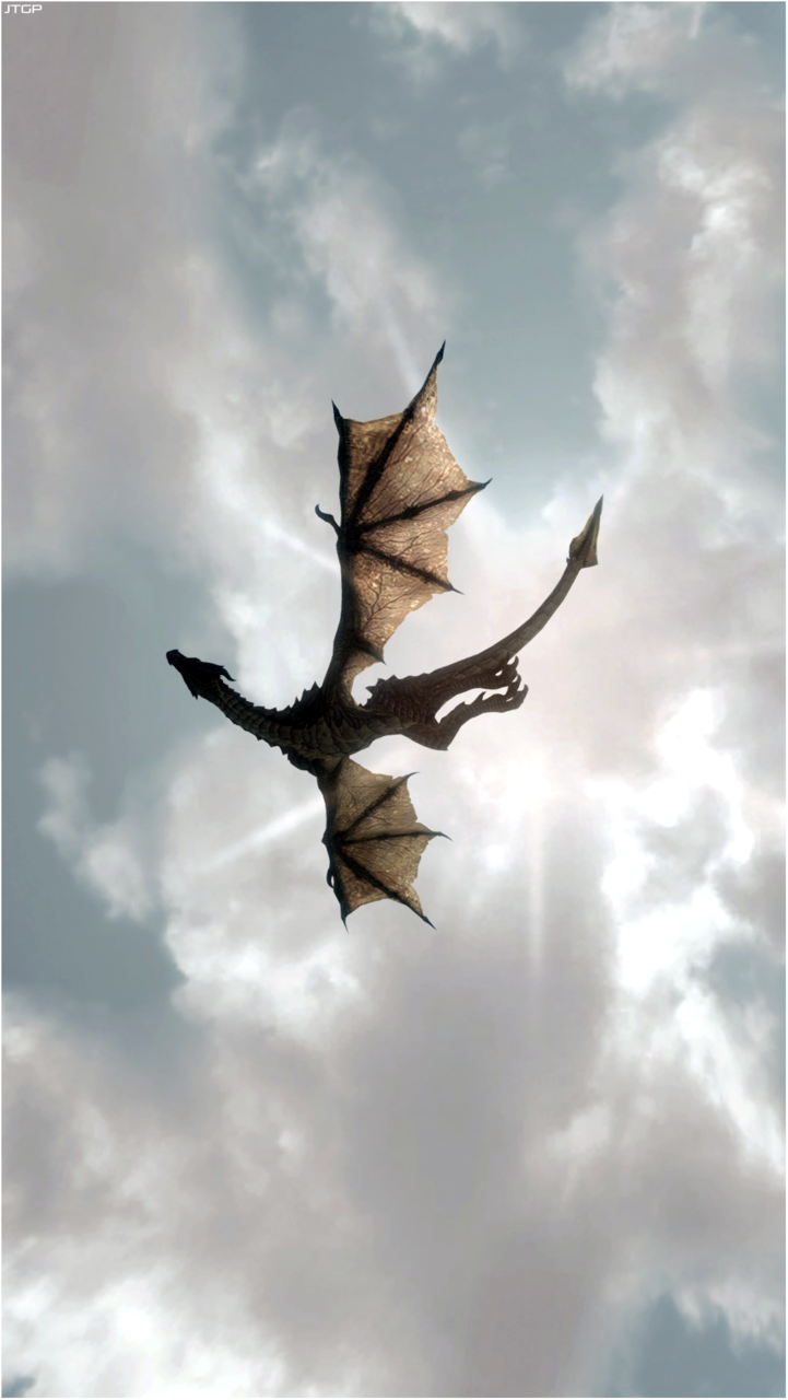 Dragon Tattoos ideas