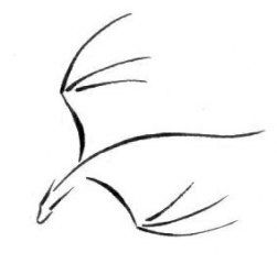 Dragon Tattoos ideas