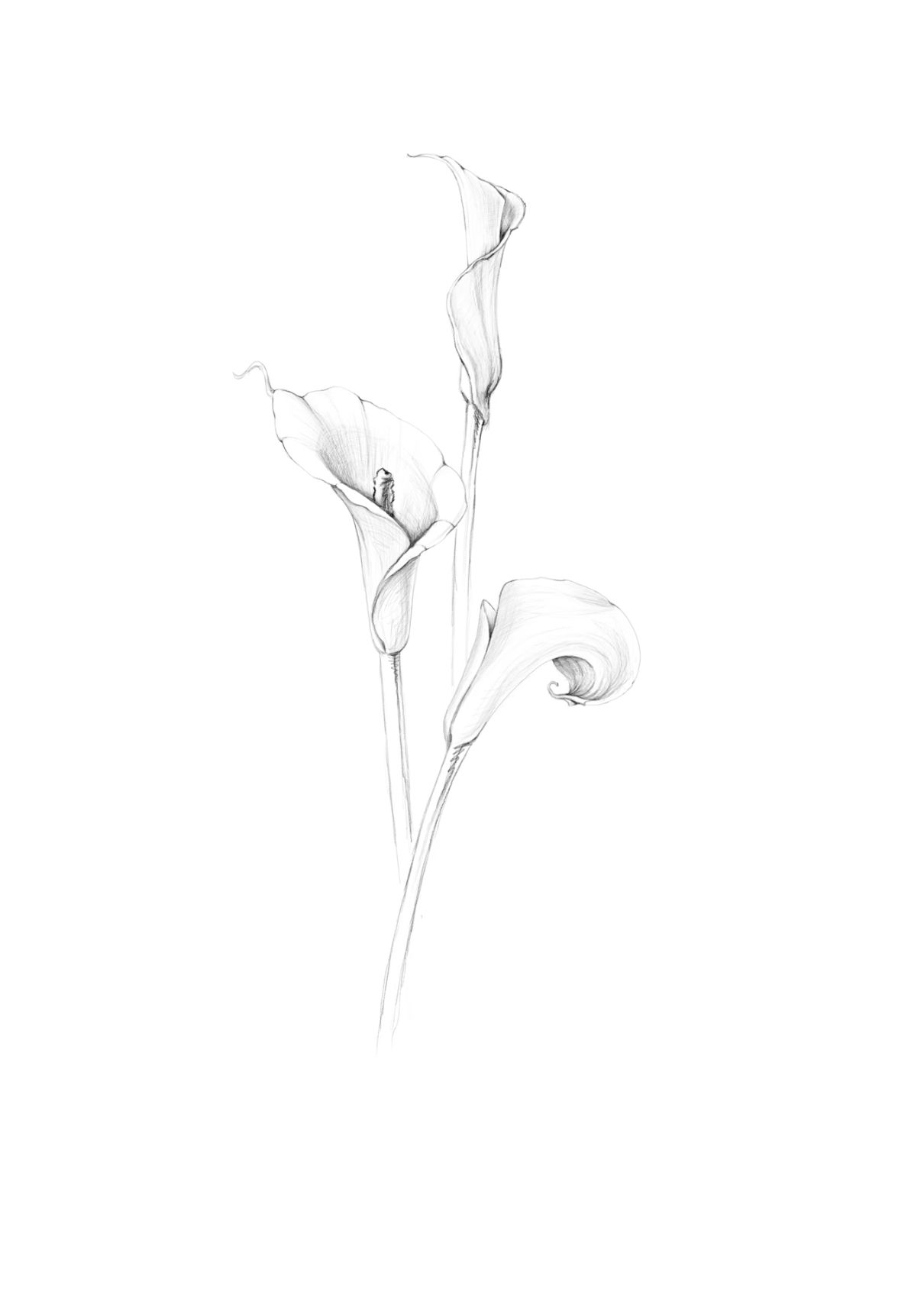 flowers tattoo