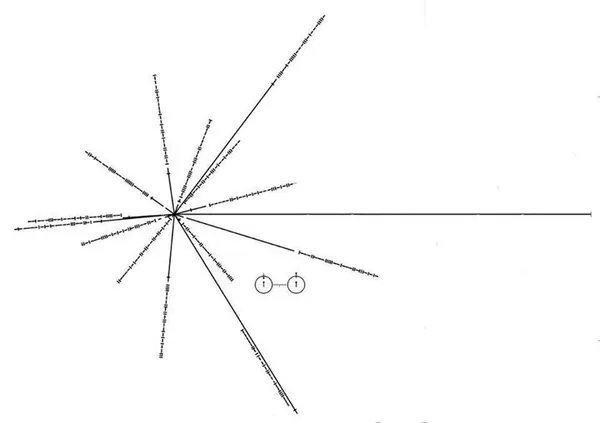 Geometric