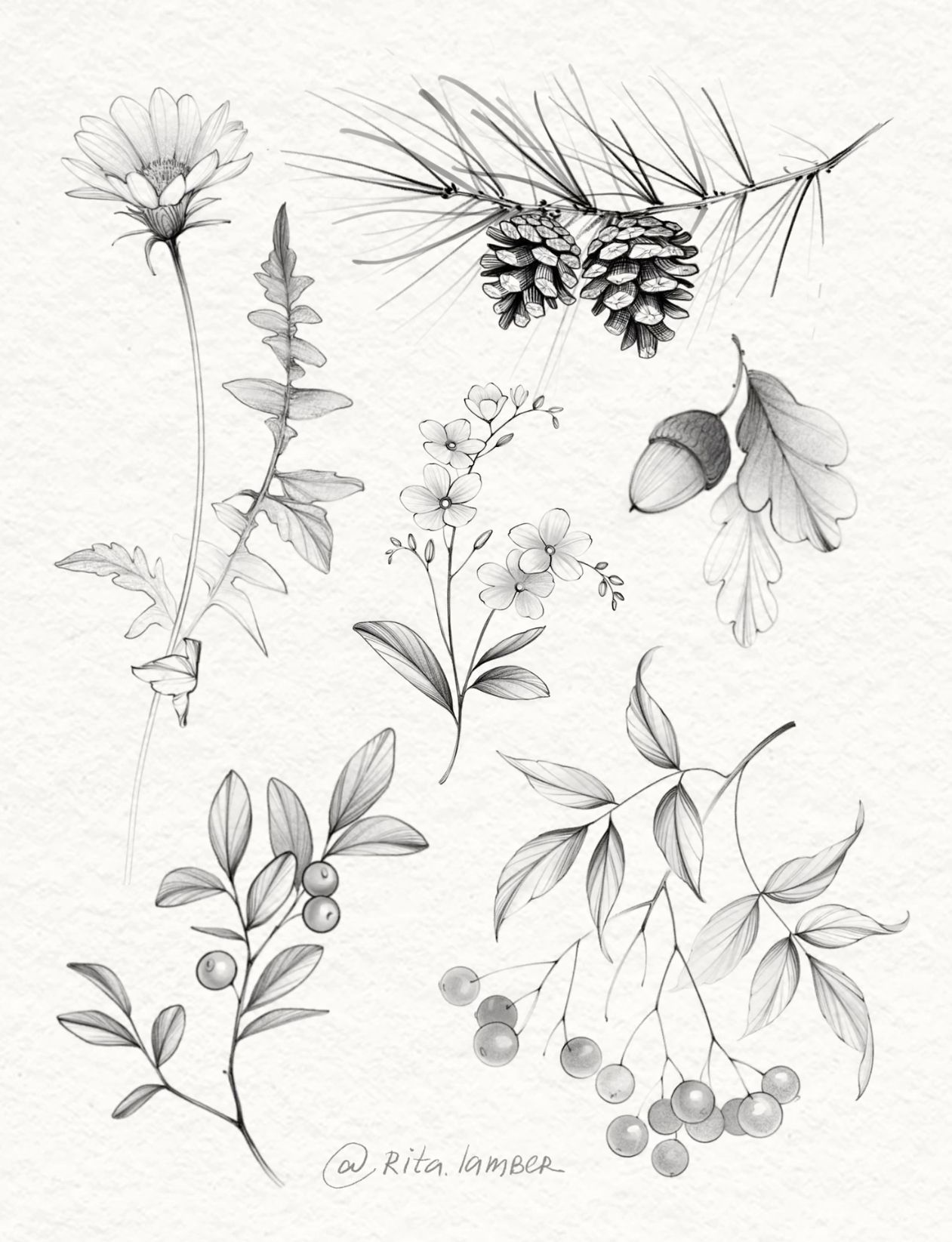 flowers tattoo