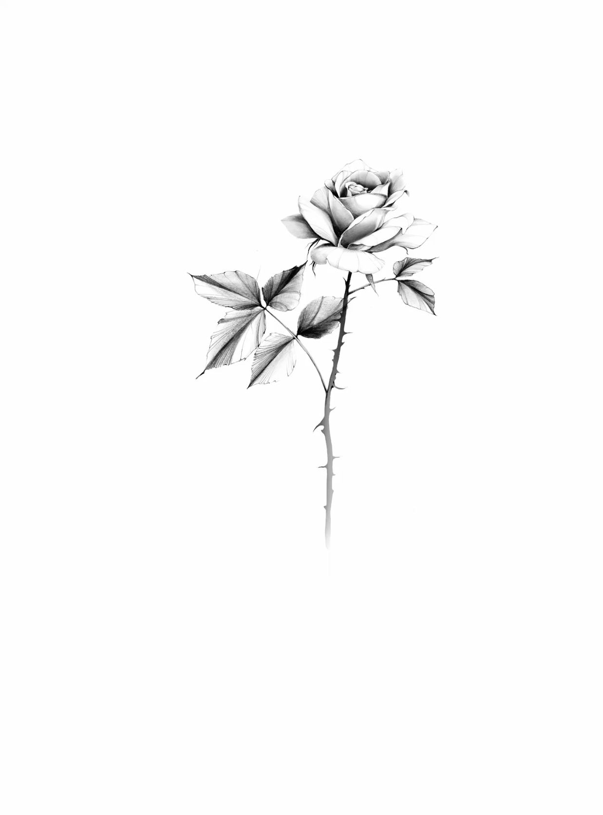 flowers tattoo