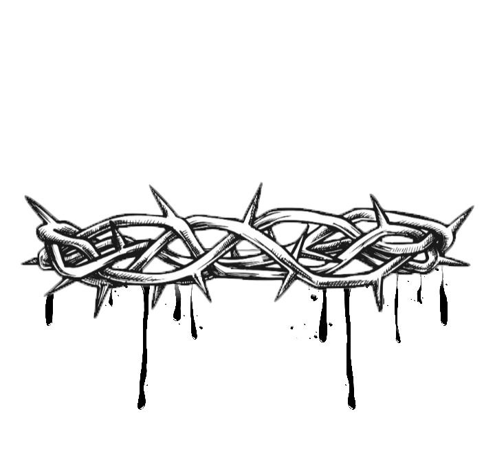 하트, 심장 해부도