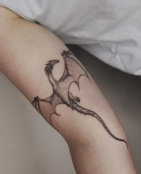 백조, Dragon