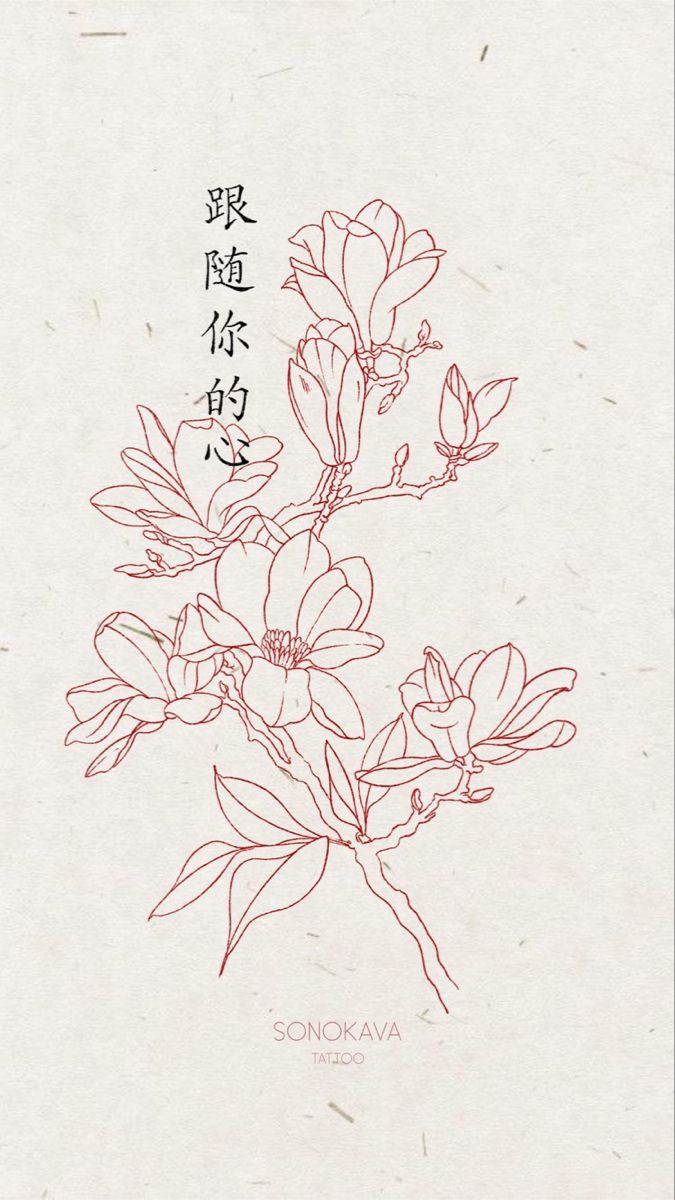 Flower, Nature