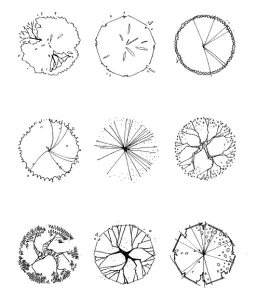 Pattern